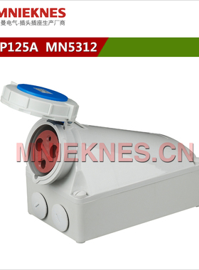 3孔125A工业插座 防水工业插头插座 IP67 5312单相三线2P+E