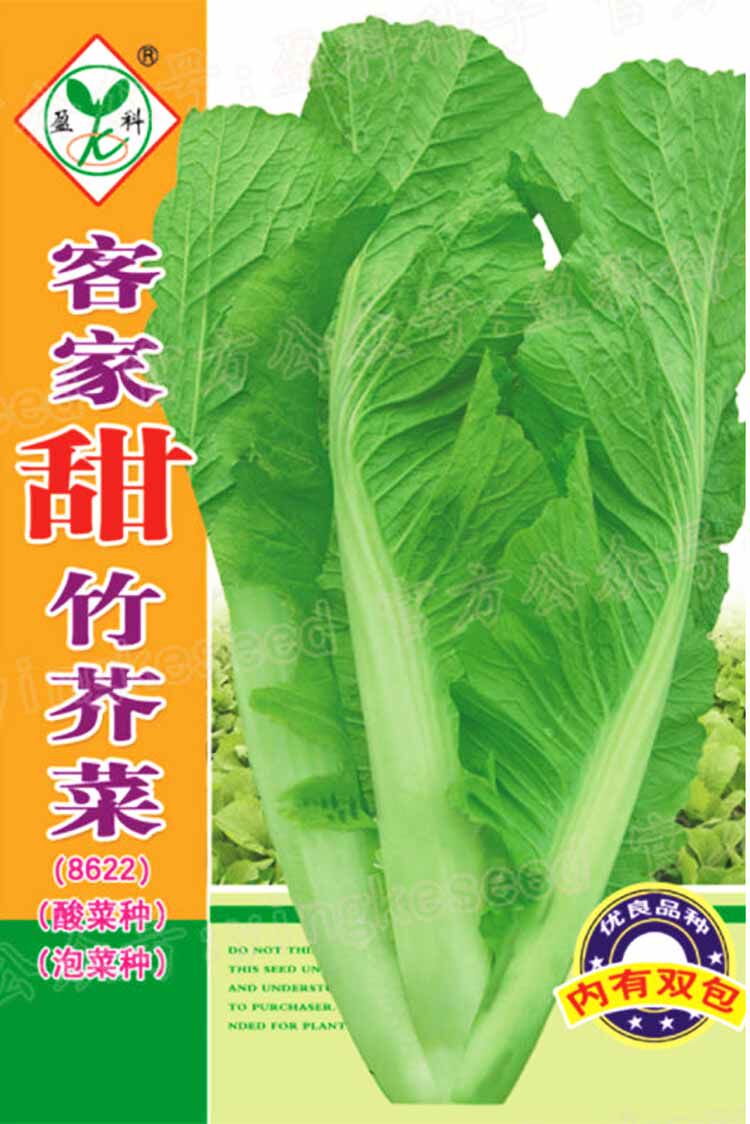 蔬菜种子 芥菜种子 甜脆竹芥 四季可播 高发芽率 满10元包邮