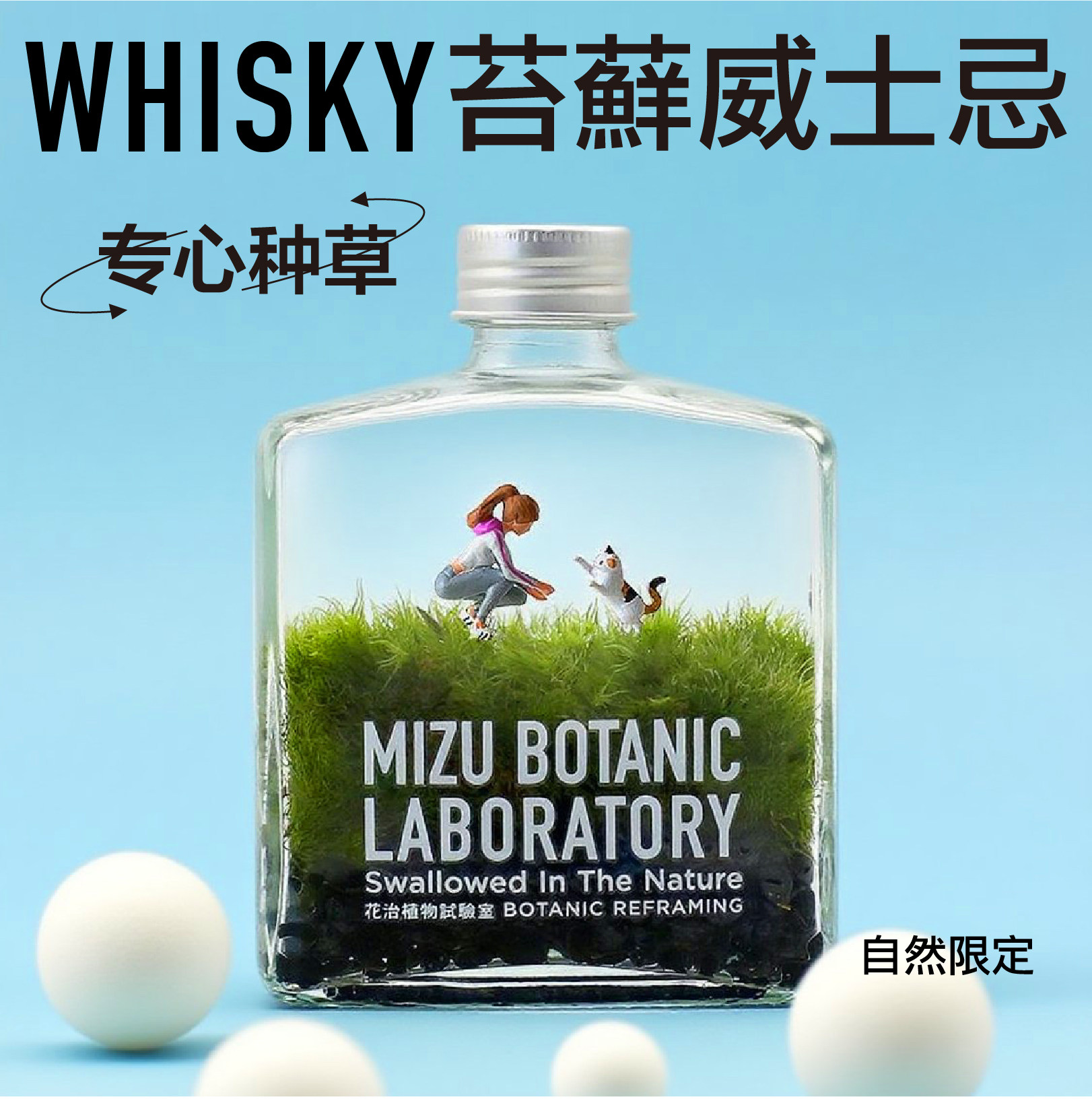 花治实验室植物青苔微景观苔藓生态瓶威士忌创意礼品办公室