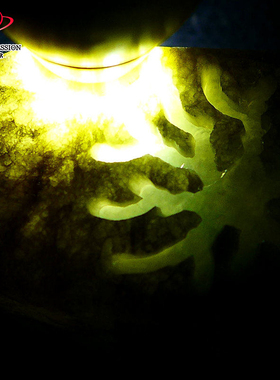 豪8印象Z26015G359肉质冰润玉器毛料玉石缅甸天然翡翠原石168.25g