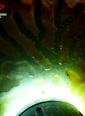 豪8印象Z26048G217起冰感毛料玉石 缅甸天然翡翠原石1098.89g