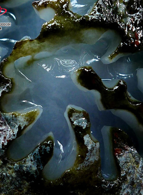 豪8印象Z26120G152南齐种老发黑 缅甸玉天然墨翠玉翡翠原石3.4kg