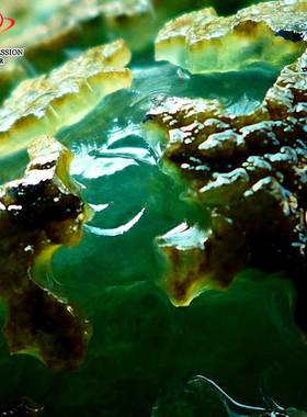 豪8印象Z26260G121有种有色毛料玉石 缅甸天然翡翠原石977.19g