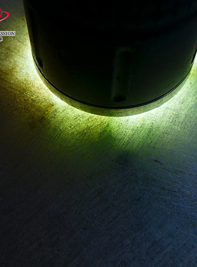 豪8印象Z26020G299淡春彩好种珠宝奇石 缅甸天然翡翠原石1.55kg