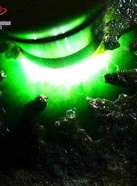 豪8印象Z26300G117起冰好种好色毛料玉石 缅甸天然翡翠原石36kg