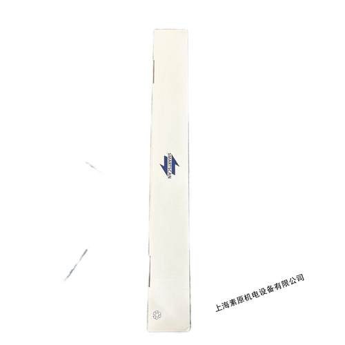 意大利原装进口安全继电器