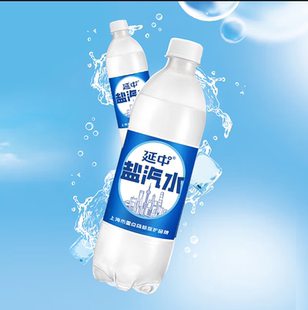 整箱夏季 延中盐汽水600ml 款 碳酸饮料经典 降温补水饮品 20瓶装