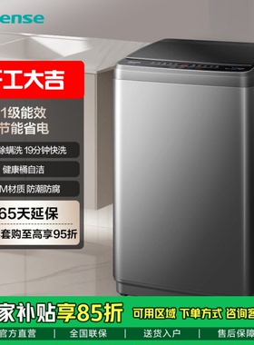 Hisense/海信 WT90N1Q 波轮洗衣机家用全自动9公斤 租房宿舍用