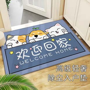 入户门地垫2025新款门口进门垫子家用脚垫玄关高级地毯防滑入门垫