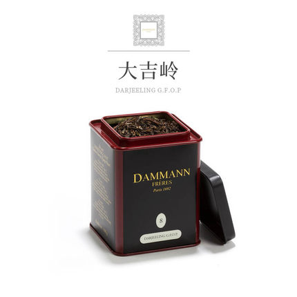 代购夏摘印度高山大吉岭红茶G.F.O.P. 罐装DAMMANN 100g