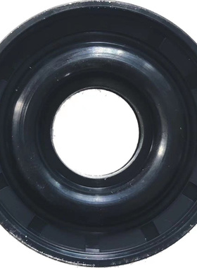 帕斯菲达配套DM7BYPP计量泵活塞轴封内径20mm外径45mm/欢迎询价！