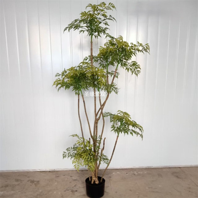 仿真福禄桐树盆栽办公室书房软装装饰森系禅意落地盆景摆件