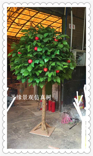 Plastic fruit trees Fake plants Man-made Apple Market a living room indoor to ground Decoration Botany simulation Fruit treein the Flower delivery/Flowers simulation/Plants gardening , Artificial flowers/Plants/Finished fruits and vegetables (New) , Simulation of fruits and vegetables  category - from Buy2taobao.com to provide professional Taobao agent buy service