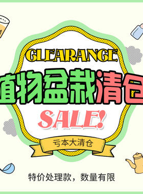 出清仿真多肉盆栽摆设装饰