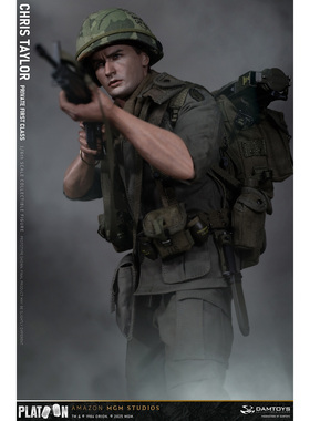 Damtoys 1/6 野战排 克里斯·泰勒 可动人偶 DMS046 定金