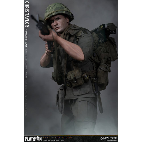 Damtoys 1/6 野战排 克里斯·泰勒 可动人偶 DMS046 定金