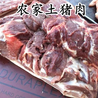 小村外农场新鲜猪肉农家土柴粮食