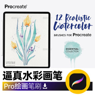 procreate逼真水彩绘画画笔飞溅花朵叶子干笔刷 常用仿真水墨iPad