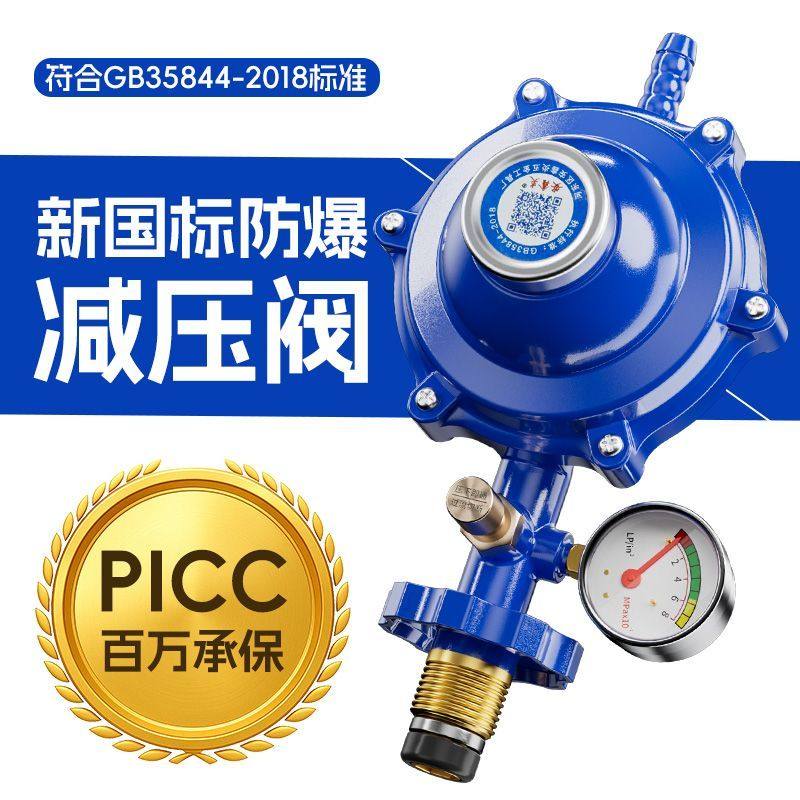 国标家用煤气减压阀1.2减压阀煤气罐安全阀自动关闭燃气自闭阀门