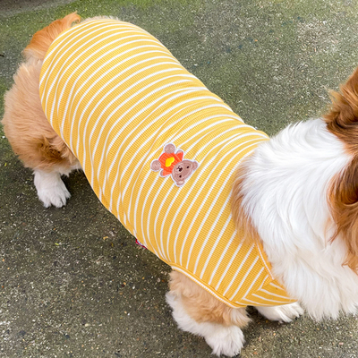 透气夏季薄款衣服狗狗猫咪通用