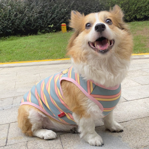 秋冬新款加厚保暖舒适背心