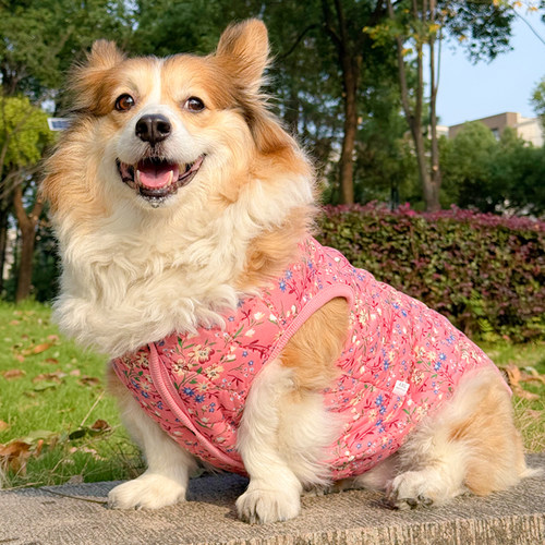 碎花加厚背心猫猫狗狗可穿