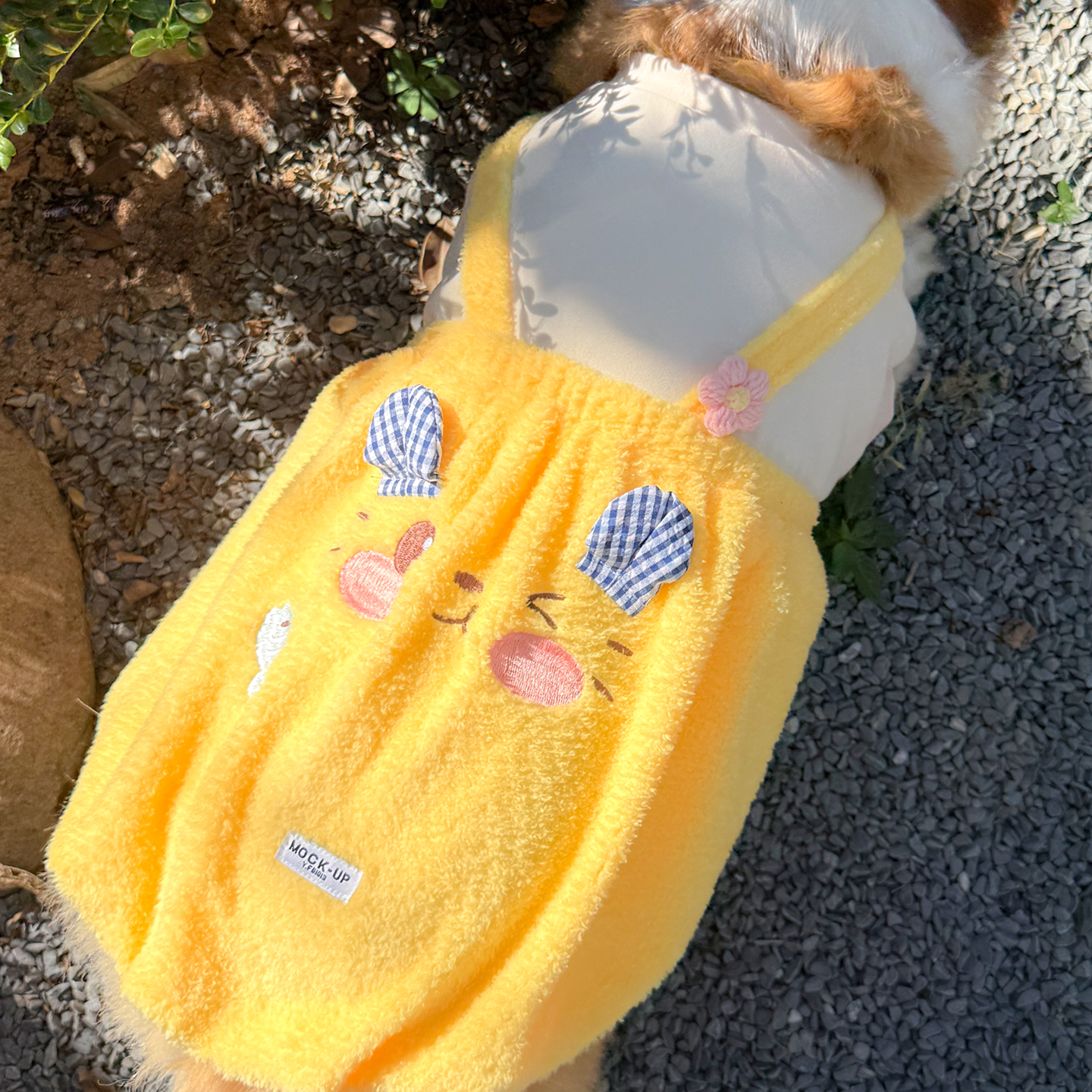 狗狗裙子秋冬季加厚保暖加绒柯基柴犬泰迪可爱连衣裙宠物衣服新款