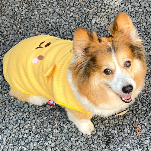 柯基衣服春夏薄款防掉毛泰迪比熊柴犬宠物服饰华夫透气面料2025新