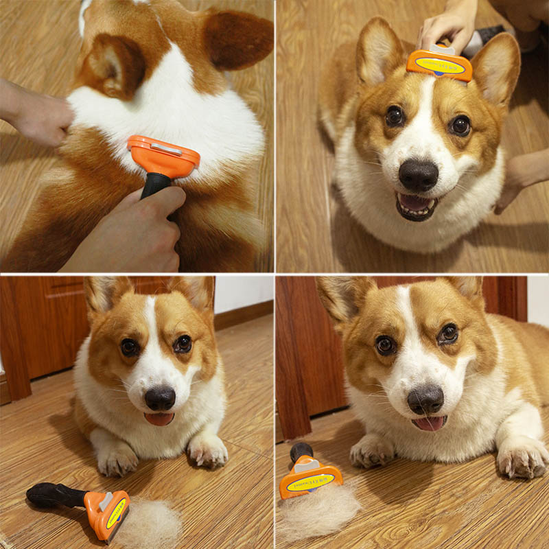 柯基梳毛专用神器泰迪宠物狗狗