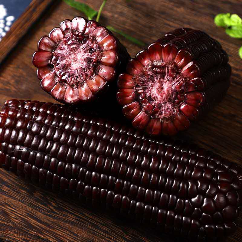 天天特价23年山西非转基因真空甜糯黑玉米7根黑玉米棒软糯香甜