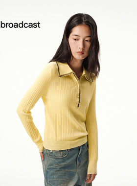 播韩系氛围感秋季穿搭别致针织衫洋气漂亮上衣DDS4SD5188