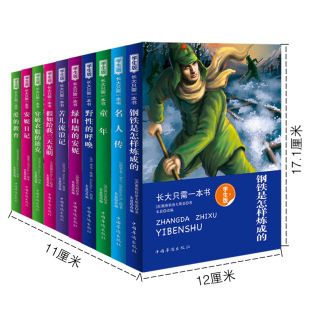 童年爱 钢铁是怎样炼成 教育 课外书小学生课外阅读书籍8 12岁儿童文学少儿读物畅销图书 全套10册 长大只需要一本书