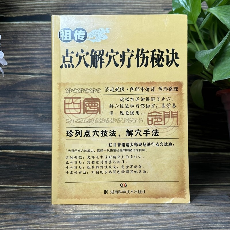 【正版保证】祖传点穴解穴疗伤秘诀 老中医点穴奇术 治病点穴解穴 专治杂症奇效书籍 中医养生经验疗法 陈郎中著 武当内家点穴解穴