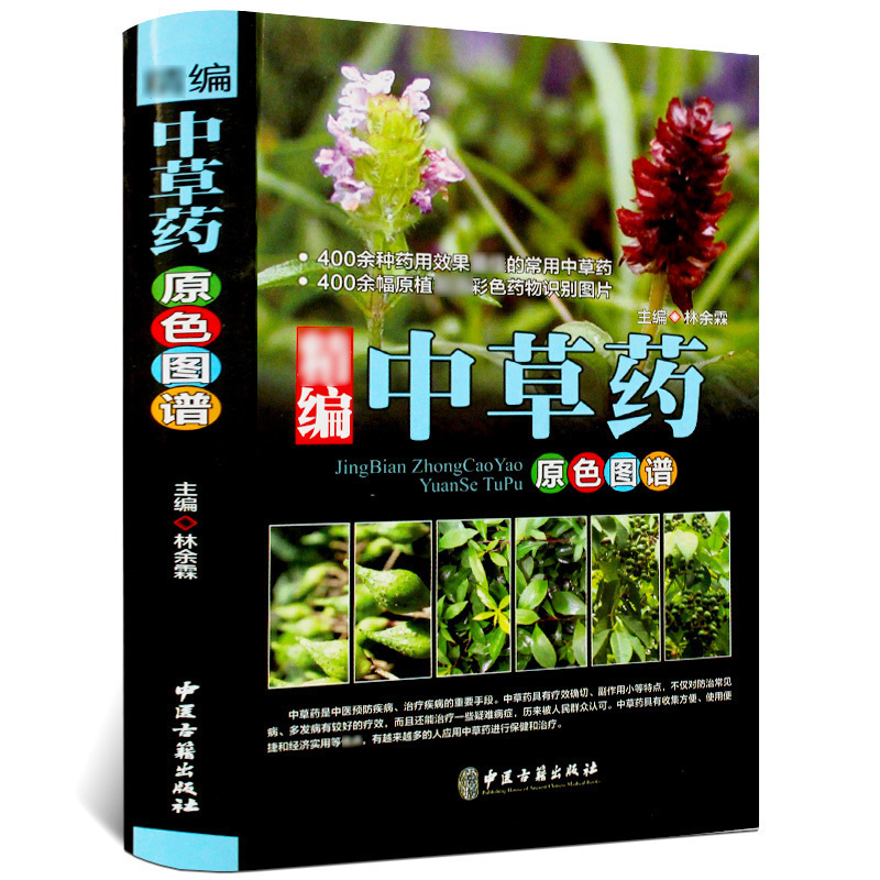 精编中草药原色图谱彩图版精装 收录400种常见中草药植物特征性味功能炮制主治用法 中草药彩色图谱图集 中医养生保健医学入门书籍