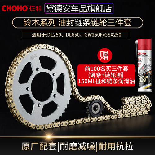 铃木GW250DLGSX250R油封链条套装