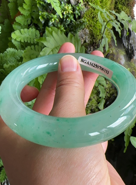 杨玉家天然石英质独龙玉非洲翠冰种果绿大圆条肥条手镯57.3圈证书