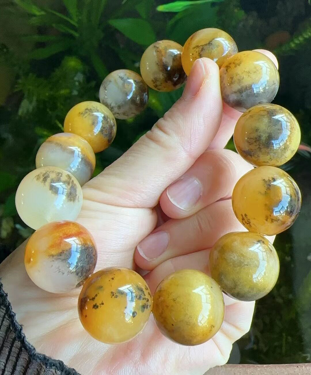 杨玉家云南天然黄龙玉精品水草花17.5mm男士圆珠手串证书包邮新款