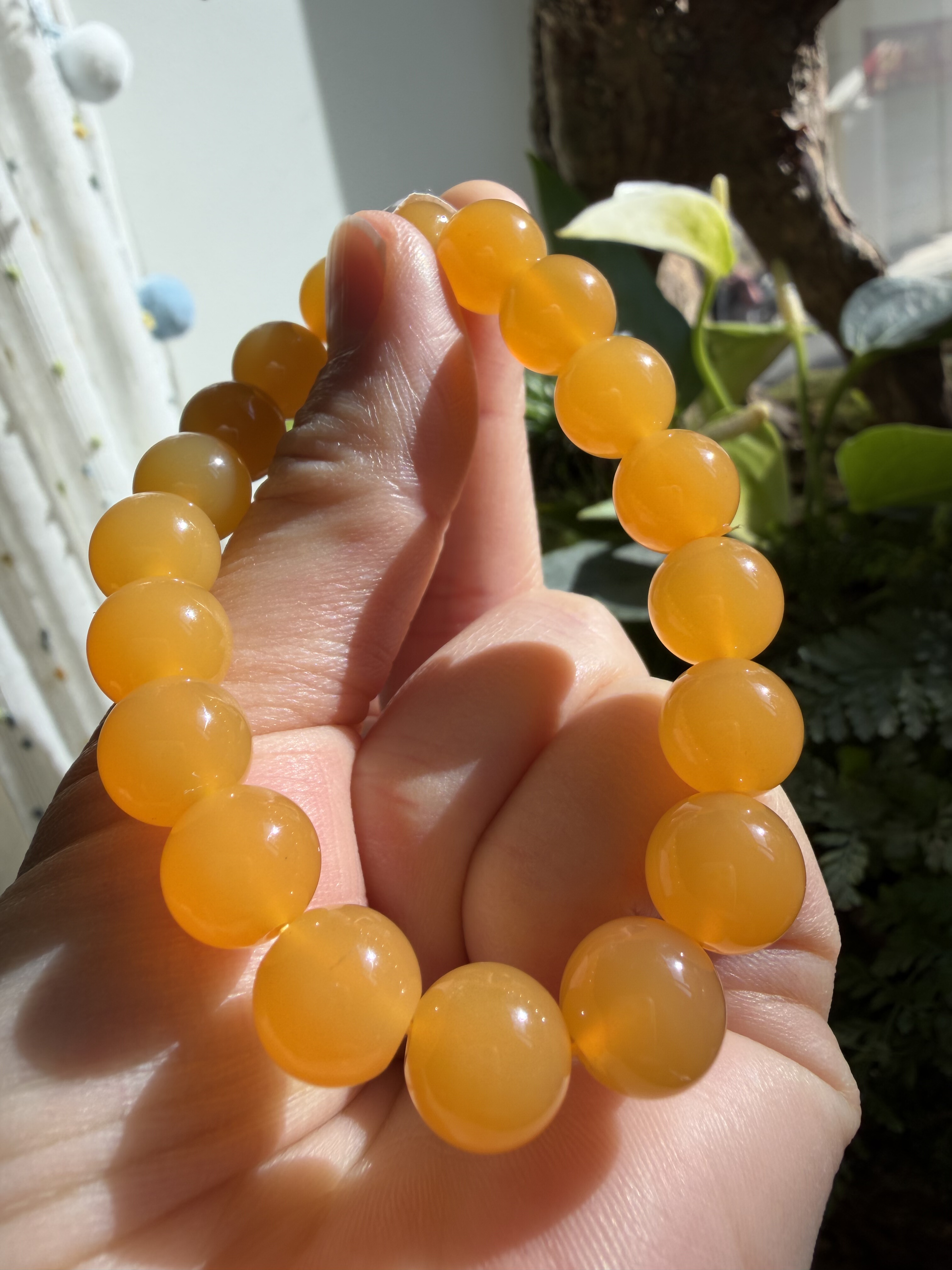 杨玉家缅甸天然黄龙玉高冰种鸡油黄起光圆珠10MM女士手串证书新品