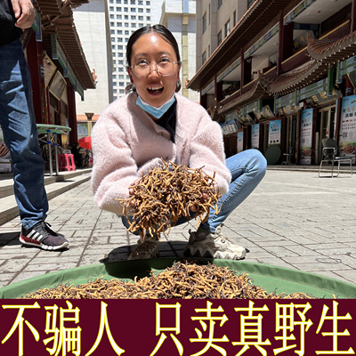 只卖正宗野生草不卖人工草