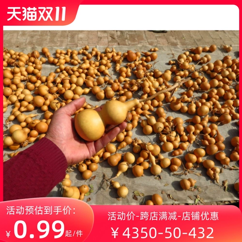 Натуральная дикая тыква дома украшение гостиной Венван Играй Магазин Шагка Студент Студенты создавать тыкву сделай сам