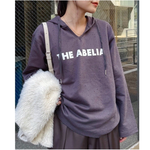 CP2025冬季 特殊工艺面料毛圈字母印花连帽卫衣