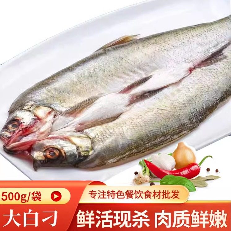 新鲜湖北刁子鱼翘嘴鱼顺丰包邮