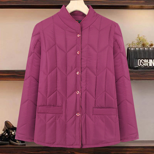 冬装新款丝绵内胆棉衣冬季立领羽绒棉棉袄外穿妈妈外套奶奶中老年