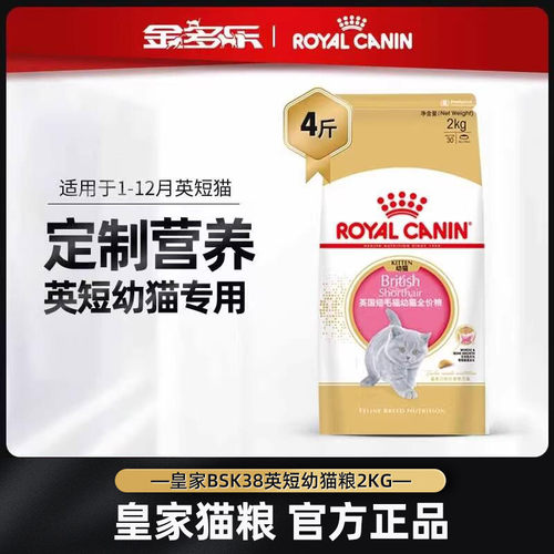 皇家bsk38英短专用幼猫粮营养