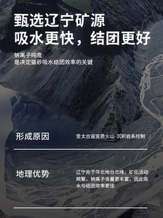 矿石猫砂膨润土猫沙10公斤20斤除臭几近无尘非混合豆腐砂21省 包邮