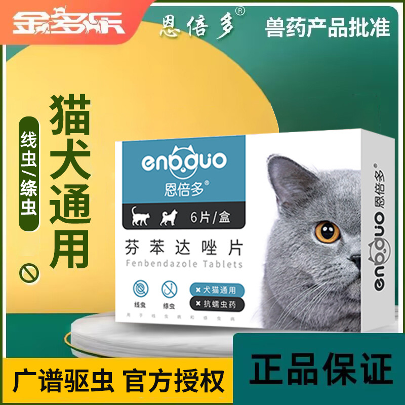 猫咪体内驱虫宠物恩倍多