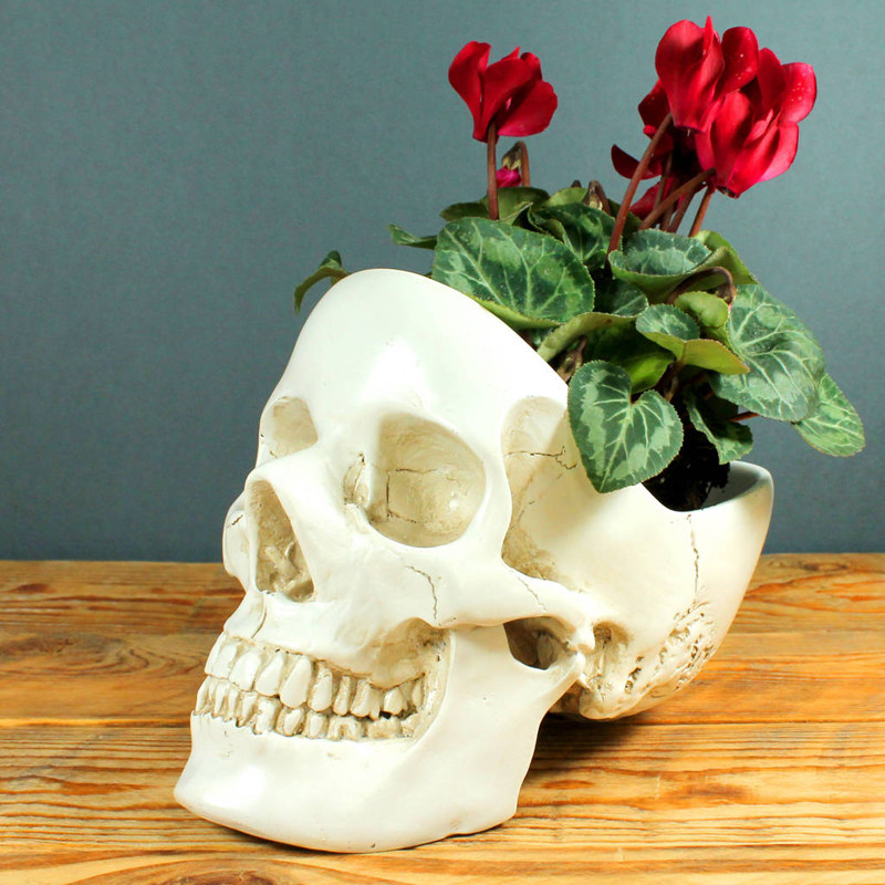 SUCK UK 头骨骷髅头模型摆件创意个性桌面首饰化妆品收纳盒耳机架