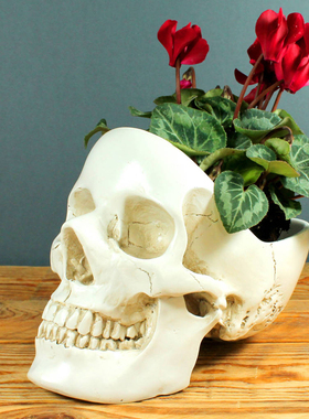 桌面收纳盒骷髅头骨模型个性摆件