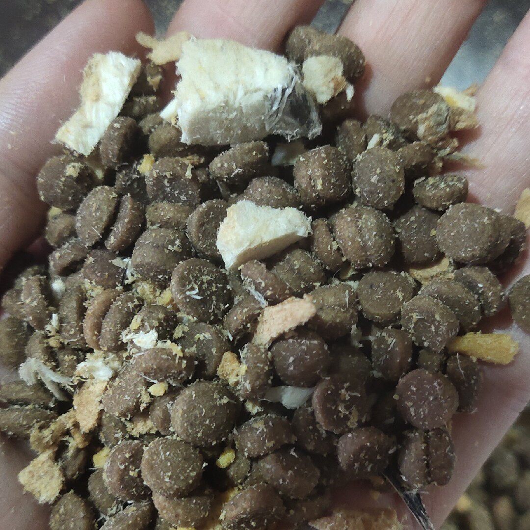 自制冻干多拼猫粮增肥美毛发腮