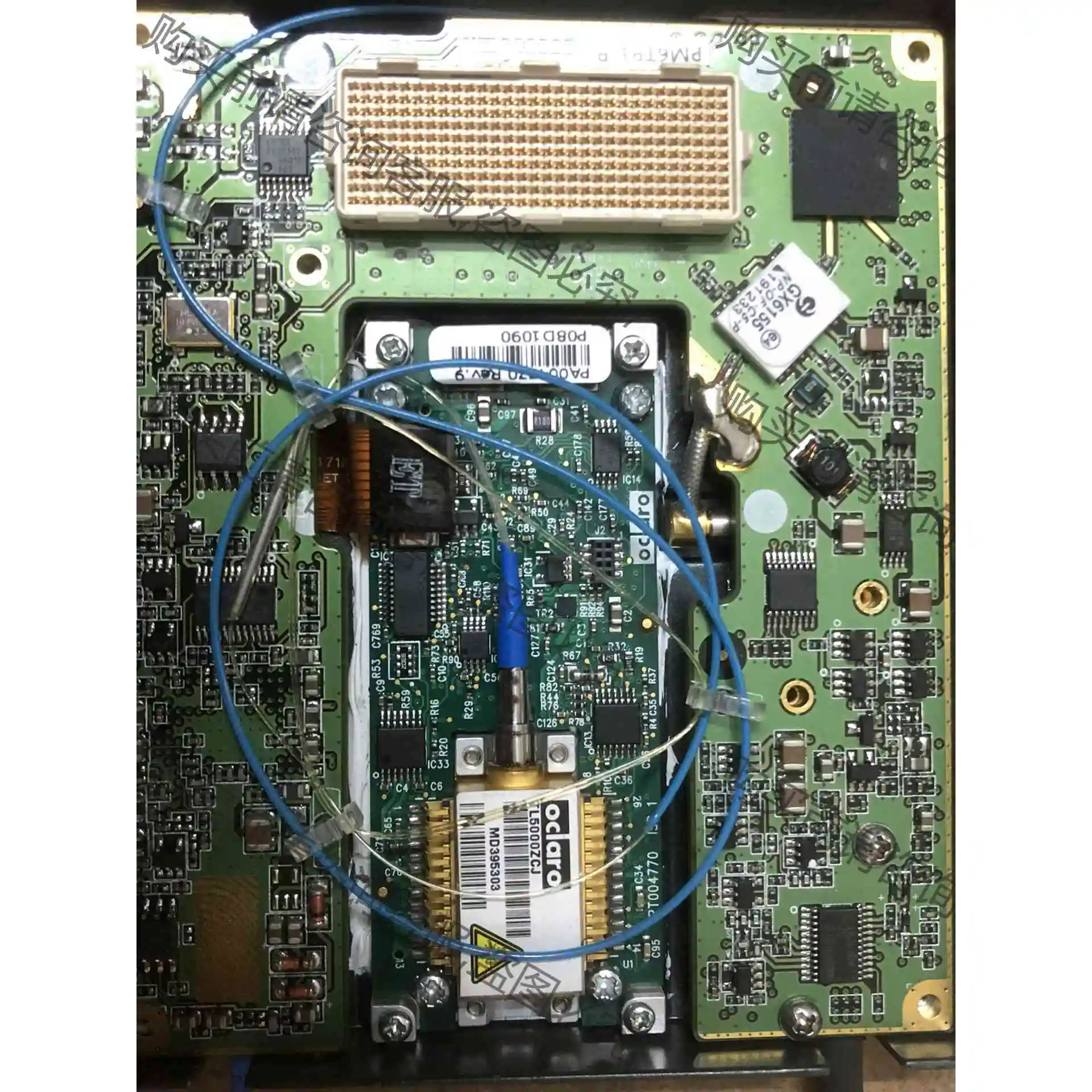 TL5000ZCJ，调制器10GX5'探测器PT10GC带价 议价 品质保证